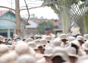 Bupati Aceh Tamiang Dampingi Mendagri Pimpin Apel Satgas IPDN Gelombang III untuk Percepatan Pemulihan Pascabencana